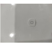 Botón Home blanco para Apple Iphone 5
