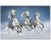 Pintura de caballos blancos, póster de caballo corriendo en la nieve, arte de pared de amanecer, lienzo impreso, decoración de granja, imágenes de pared para sala de estar 21cm×30cm NoFrame
