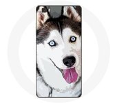 Coque pour Huawei P8 Lite Husky Blanc de Sibérie Yeux Bleus