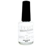 Encre 'Aladine - Izink Pigment' Blanc 11.5 ml