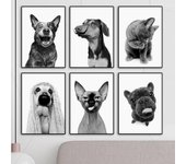 Pintura en lienzo de gato esfinge, Bulldog Francés, BlueHeeler, carteles nórdicos e impresiones, imágenes de pared para decoración para sala de estar, sin marco 21*30cm