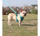 Conjunto de arnés y correa para perros, pecho y espalda para mascotas estilo chaleco, arnés para perros reflectante y transpirable para caminar S rojo rosa