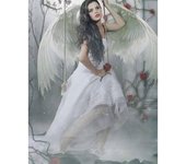 Mosaico de diamantes DIY 5D Diamond Beauty con alas blancas 5D diamante bordado 20X30CM