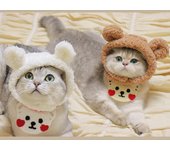 Sombrero de oso de peluche para mascota: Gorro cálido y bonito para gatos y perros pequeños One Size color rosa