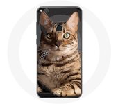 Coque pour Huawei P8 Lite 2017 Bengal Race de Chats