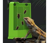 Comedero de esquina para reptiles con ventosas, plato de alimentación para terrario montado en la pared para lagartos, iguanas, geckos, suministros para mascotas S