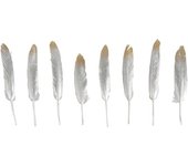 Plume décorative Or et Argent 12/15cm x8 - Rayher Argenté