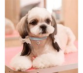 Collar de corazón para mascotas, joyería, Collar de cristal para perros y gatos, suministros para mascotas S