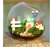 Jarrón de cristal transparente simple de 8/10/12/16 cm, contenedor creativo para plantas suculentas, terrario para plantas oblicuas duradero