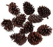 10 piezas de adornos de piñas colgantes para árbol de Navidad, decoración navideña, 6-8 cm