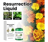 Solución nutritiva para potenciar el crecimiento de plantas suculentas, estimulador de raíces, fertilizante líquido Resurrection para plantas de interior