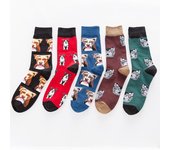 Calcetines de algodón para perros nuevos y coloridos de otoño/invierno: calcetines casuales de tubo medio/alto European size: 41-46 café