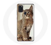 Coque Samsung Galaxy A21S Siamois Race de chats