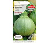 Calabaza Calabacín Tondo chiaro di Nizza semillas de hortalizas frescas PREMIUM 2g