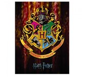 Cresta de Harry Potter Hogwarts Lámina enmarcada 40cm x negro