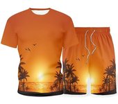 Hombre Conjunto de camiseta Accesorios Gráfico Atardecer Playa Cuello Barco Ropa Ropa Estampado 3D Al aire libre Diario Manga Corta 2pcs Casual S