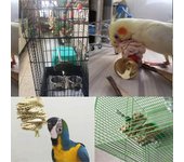 Juguete masticable colgante para loros, casa para pájaros multiusos, decoración colgante, accesorios para jaulas de pájaros