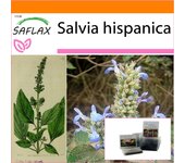 SAFLAX - Garden in the Bag - Mexican Chia - 500 semillas - Con sustrato en una bolsa de pie adecuada - Salvia hispanica