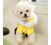 Ropa para perros Invierno Perro pequeño Teddy Yorkshire Puppy Otoño Perro Otoño Invierno Ropa cálida para cuatro patas Ropa de diseño para perros XS