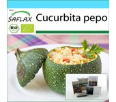 SAFLAX - Set de regalo - Orgánico - Calabacín - Tondo di Nizza - 5 semillas - Con caja de regalo, tarjeta, etiqueta y sustrato para macetas - Cucurbita pepo