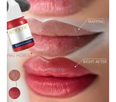 Tinta de tatuaje Nano pigmento colores lechosos para juegos de maquillaje semipermanente tinte ceja delineador de ojos labios belleza 3ml pigmentos Microblading 856 Burgundy