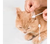 with Storage Box Disposable Nose Cleaning Tool Buds Tip Swabs Ears Cleaning Sticks Cotton Bud 55pcs