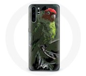 Coque pour Huawei P30 pro Pionus Perroquet Rouge Vert