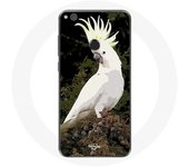 Coque pour Huawei P8 Lite 2017 Cacatoes Perroquets Blanc sur l'arbre