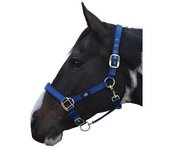 Collar de cabeza Hy Grand Prix Full naranja