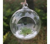 Florero colgante de flores Sagit, macetero de cristal, contenedor de terrario, decoración para el hogar y la boda S puro
