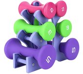 Juego de 6 pesas de mano para fitness, soporte para estante, equipo de ejercicio para culturismo de 2, 3 y 5 libras