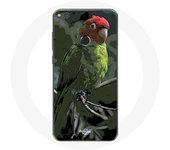 Coque pour Huawei P8 Lite 2017 Pionus Perroquet Rouge Vert