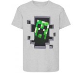 Minecraft Niños/Niños Creeper Camiseta 5-6 Years gris