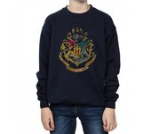 Harry Potter Niños Hogwarts Casas Sudadera De Algodón 12-13 azul marino