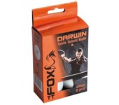 Pelotas de tenis de mesa Fox TT Darwin 1 Star (paquete de 6) One Size blanco