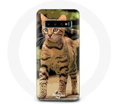 Coque pour Samsung Galaxy S10 Plus Bengal Race de chats dessin Animé
