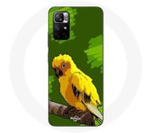 Coque Redmi Note 11 5G Perroquet conure doree