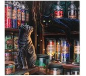 Lisa Parker Magical Emporium Lienzo Enmarcado Placa One Size negro