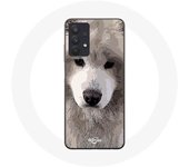 Coque Maniacase pour Samsung Galaxy A32 4G Samoyède Gris Race de chiens