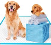 Almohadillas para orinar para entrenamiento de perros, pañal para mascotas, tapete desechable súper absorbente para pañales saludables para gatos, pañales para perros pequeños, estera para jaula, suministros para mascotas 60*60cm azul