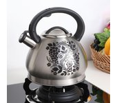 Hervidor de agua de acero inoxidable de 3 l, gran capacidad, alta calidad, silbato, cocina de gas que cambia de color, hervidor de camping, utensilios de cocina. GERMANY