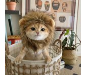 Peluca para mascotas, disfraz de melena de león, accesorios para el cabello para perros y gatos pequeños S caqui