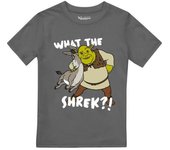 Shrek Boys Best Buds Camiseta 7-8 Years carbón