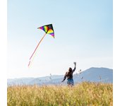 Cometa Delta colorida, cometa fácil de volar, cometa de playa de una sola línea con cuerda de 30m para niños y adultos