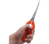 Tijeras para recoger frutas, herramientas de jardinería de acero inoxidable, tijeras para recoger frutas, tijeras de podar para plantas, herramientas de jardín