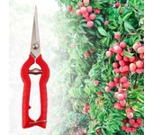 Tijeras para podar plantas, herramientas de jardinería, tijeras para flores y césped, podadora de injerto, herramienta podadora manual 168mm