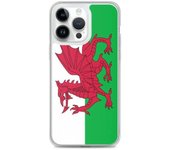 Funda iPhone - Multicolor - Drapeau Pays de Galles - Souple - TPU - Compatible iPhone 11 Pro Max