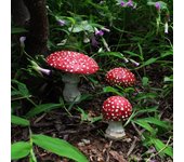 3 minihongos artificiales, estacas luminosas para jardín, plantas de hadas, terrarios, letreros decorativos. rojo