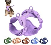 Arnés ajustable para perros, arnés para el pecho para mascotas, chaleco transpirable, arnés de entrenamiento para perros pequeños y medianos, arnés y correa para caminar L