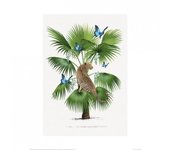 Leopardo de Thornton de verano Póster 40cm x